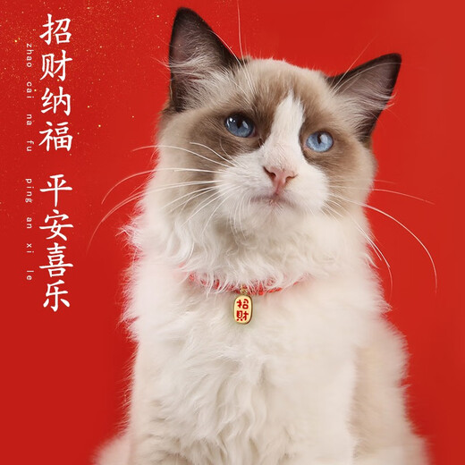 Big Cat Diary Cat Collar Collar Decoration Pet Necklace Collar Kitten New Year Red Rope Bell Collar Dog Collar Red Rope Collar Gold Bell With Sound