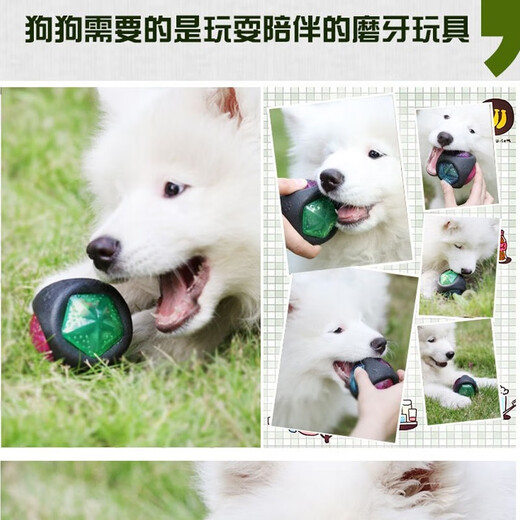 Ravipet Dog Toy Ball Luminous Sound Dog Teething Toy Golden Retriever Corgi Toy Teddy Border Collie Toy Small Dog Luminous Sound Ball