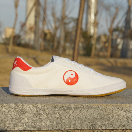 Qingdao Double Star Bate Men's and Women's Yin Yang Fish Tai Chi Shoes Classic Martial Arts Shoes Tendon Sole Sports Martial Arts Shoes Tai Chi Shoes Kung Fu Shoes Canvas Shoes White Tai Chi 44*270