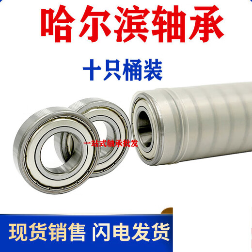 Harbin Bearing Encyclopedia 62006201620262036204620562066 6207-RS Rubber Cover Seal Ten Pack Others