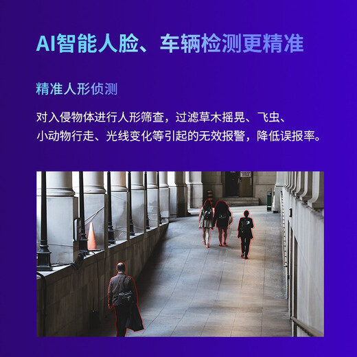 普联（TP-LINK） 双频无线5G WiFi监控摄像头 AI人形车辆识别 360度全彩家用高清室外防水球机 TL-AIPC653-A【500万超清标准版】 标配（不含内存卡）