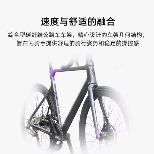 佳沃JAVA维苏威VESUVIO全碳纤维骑行公路车电变105 7170桶轴油碟变速 钛色 XS 105电变铝轮