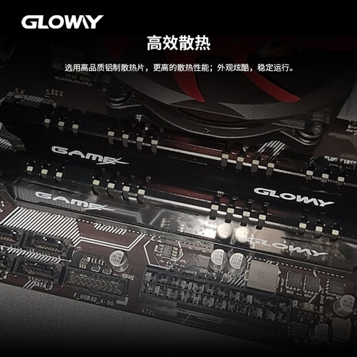 Gloway 32GB DDR4 2666 Desktop Memory Stick Vest Stick Selected Chips CL19