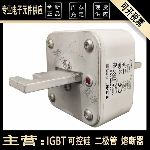 XMSJ Eaton bussmann Basmann 170M6166 170M6167 170M6169 fuse For more models, please consult customer service