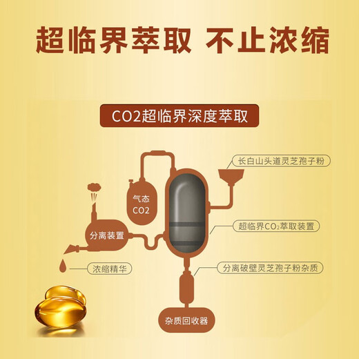 
Chirungao Concentrated Ganoderma lucidum spore oil soft capsule enhances immunity, Breaking Wall Ganoderma lucidum spore powder essence extract, half a year quantity (10 boxes)