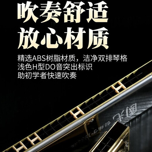Guoguang Shanghai Guoguang eintägige Doppelreihe-Harmonika 28-Loch