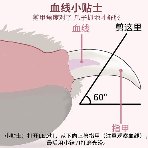 Cat Nail Clippers Pet Nail Clippers Special Nail Clippers for Dogs and Cats Claws LED Bloodline For Kittens and Cats No Specifications 1 file with random color