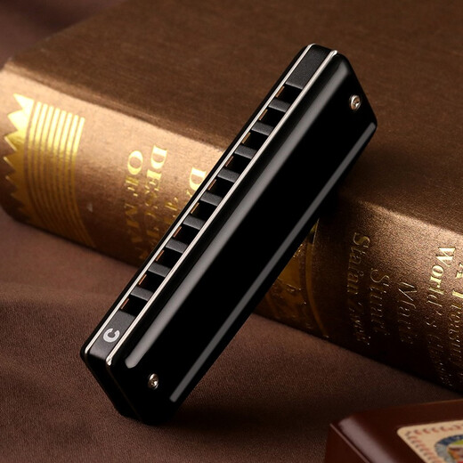 铃木日本原装进口铃木口琴10孔Paddy爱尔兰音阶带低音6初学入门练习用 PADDY音阶C调