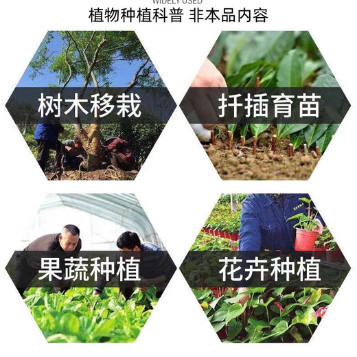 50% indolebutyric acid, indolenaphthalene acetic acid, high concentration rooting agent, rooting powder, seedling transplanting, cuttings, rooting promotion, 3 bags (1g/bag) can be stored for 2 years without opening