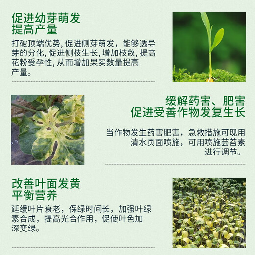 Guoguang 0.01% 24 epibrassinolide lactone rooting and seedling strengthening flower Ximu vegetable pesticide regulator 100ml