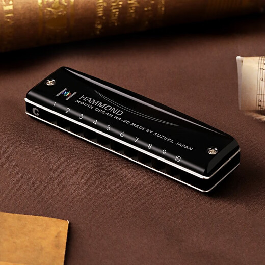 铃木日本原装进口铃木口琴10孔Paddy爱尔兰音阶带低音6初学入门练习用 PADDY音阶C调