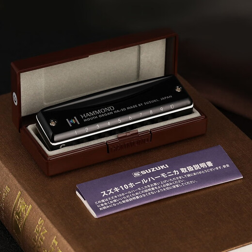 铃木日本原装进口铃木口琴10孔Paddy爱尔兰音阶带低音6初学入门练习用 PADDY音阶C调