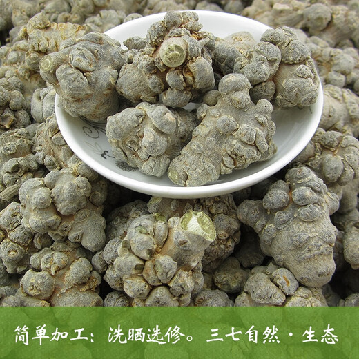 Sanqitou Authentische Yunnan Wenshan 20 Spring Sanqitou Ganze chinesische medizinische Materialien Trockenwaren, Spezialgrad Wildfeld 7 neue Waren 20 Sanqitou 500g