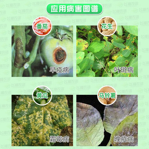 Daconin Japan 40% chlorothalonil, cucumber, tomato, peanut, downy mildew, early and late Phytophthora leaf spot, pesticide and fungicide 40ml (20ml*2 bags)