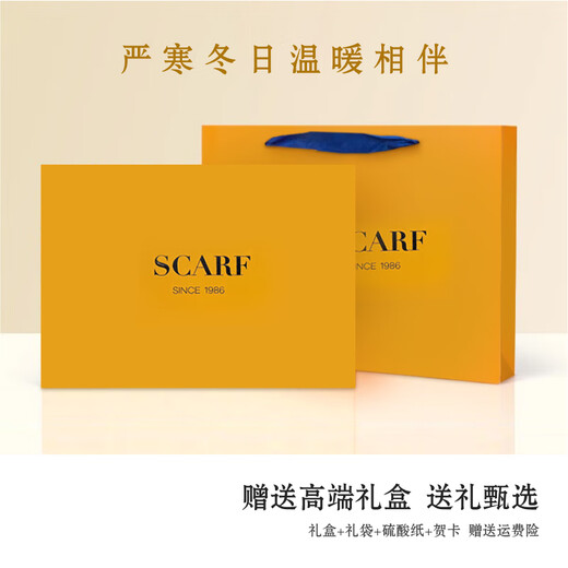 GIAVENTOLA凯旋门老花时尚丝毛围巾女秋冬季新款真丝羊毛大方巾披肩送长辈 梦回凯旋