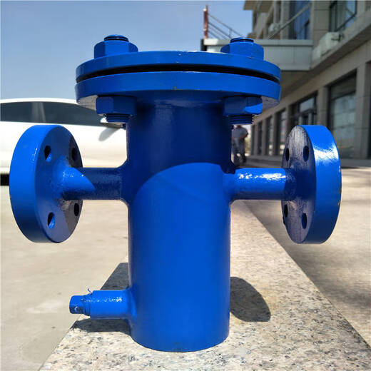 Shourunheng straight-through basket filter DN250-16C