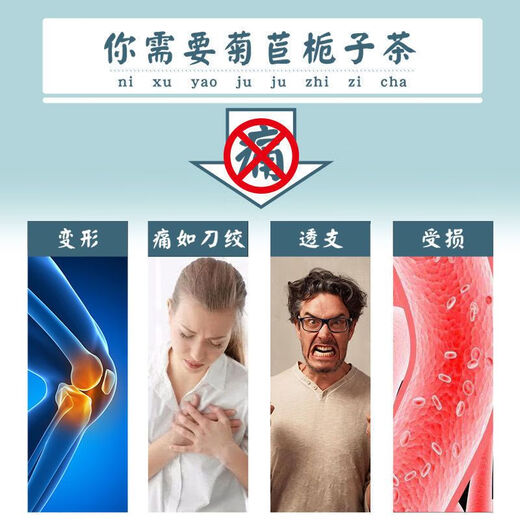 通用菊苣栀子片黄太阳菊苣栀子茶葛根桑叶茯苓茶青钱柳组合真材实料养 1罐 1mg 原料装15包【体验装】