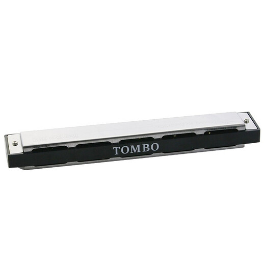 Tongbao tombo japonais Gong importé 24 trous adultes débutant professionnel avancé jouant polyphonique c