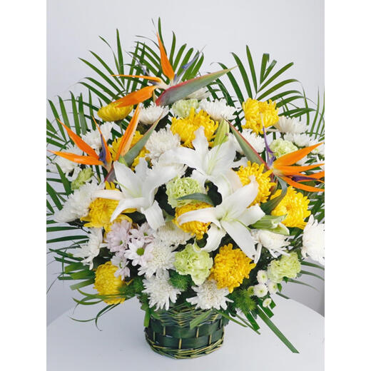 Congshu Xiaobaihua Tomb Sweeping Tomb Sweeping Festival Tomb Sweeping Tomb Sacrifice Commemoration Chrysanthemum White Chrysanthemum Flower Bouquet Tombstone Fran Flower Transparent Sacrifice Flower Basket