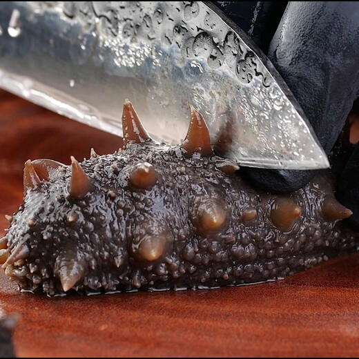 Grandma Zhang's ready-to-eat sea cucumber, authentic Dalian origin, freshly thawed, ready-to-eat, non-dried sea cucumber gift box, 1500g, 3Jin Jin equals 0.5kg, ready-to-eat solids 90%, 15-25 heads