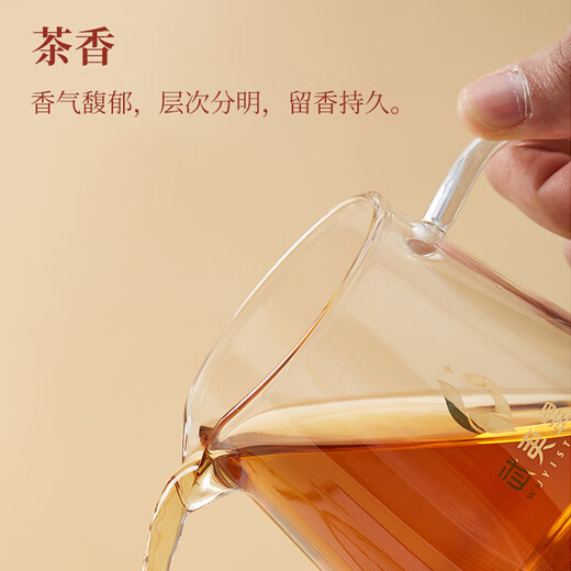 武夷星乌龙茶山语武夷岩茶大红袍特级264g礼盒装茶叶节日送礼SY1800