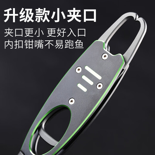 Juliqiang Aluminum Alloy Fish Controller with Scale Fish Clamp to Catch Fish Luya Extended Sea Fishing Pliers Fishing Gear for Fishing Silver Carp and Bighead Carp Locking and Weighing Fish Aluminum Alloy Fish Controller with Scale [Upgraded Version Green]