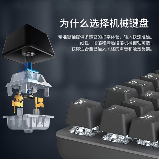 罗技（Logitech）K845机械键盘 有线键盘 游戏办公键盘电竞 青茶红轴键盘电脑笔记本背光DIY键帽 全尺寸104键 全尺寸 TTC红轴 104键 白光