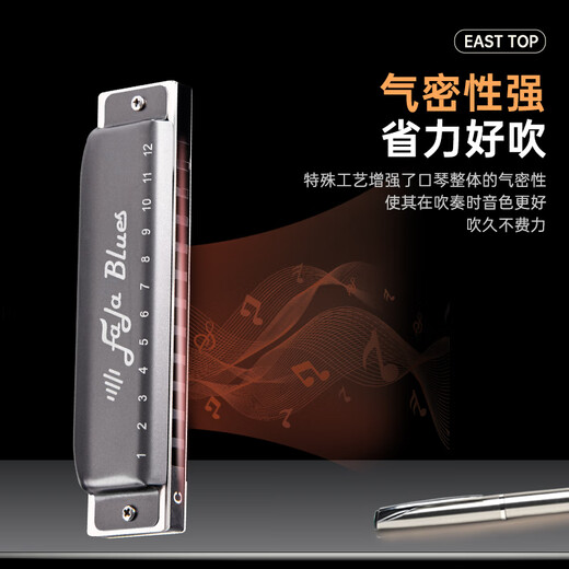 East Top Easttop Blues 12 trous Fala Blues Harmonica Gray F1201