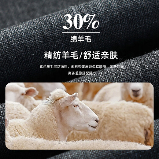 YOUNGOR Suit Herren 229 Style Two Einreihiger Business-Anzug mit mittlerem Rückenschlitz Business-Anzugjacke Grau L 175 /96A