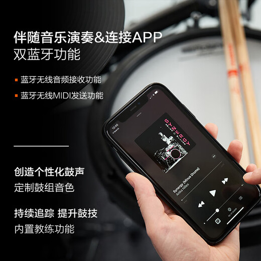 罗兰（Roland）TD-17KV2 电子鼓成人专业演奏练习 演出通用电架子鼓 5鼓4镲+音箱+赠耳机