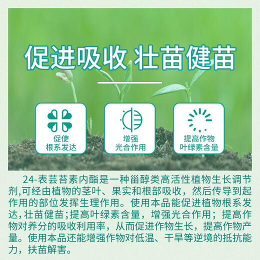 Guoguang 0.01% 24 epibrassinolide lactone rooting and seedling strengthening flower Ximu vegetable pesticide regulator 100ml