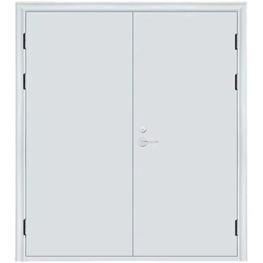 惠利得防火门钢制甲级防火门消防门包过消防支持定制超多现货 甲级防火门浅灰色