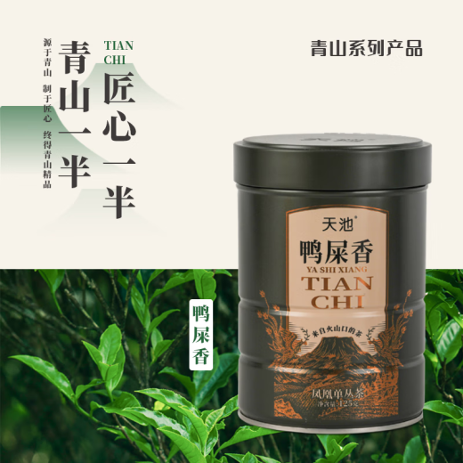天池1392乌龙茶潮州凤凰单枞茶青山系列匠心制作精品口粮茶2024年新茶 鸭屎香一级125g