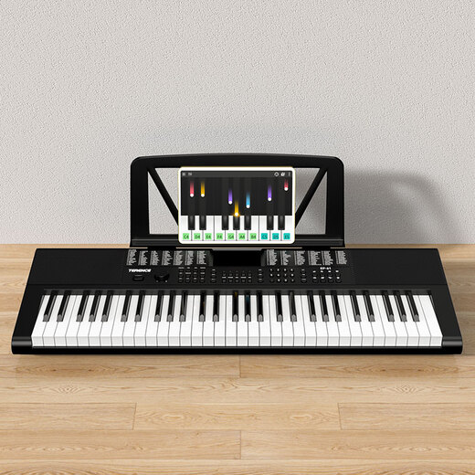 Terence electronic keyboard for adults and children with 61 keys, multifunctional portable musical instrument for beginners, holiday gift, classic black + Z-shaped piano stand + luxury gift bag