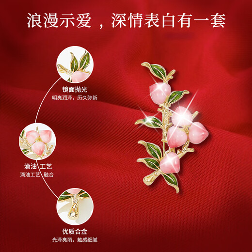 Gunai Shishi Ruyi brooch women's high-end corsage three-piece suit suit coat pin silk scarf buckle accessories for women Shishi Ruyi brooch three-piece set gift box