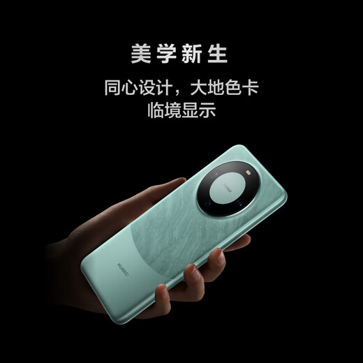 Huawei Mate 60 Remise de subvention nationale de 500 yuan 12 Go + 512 Go Nannuozi Super fiable Xuanwu Architecture Huawei Hongmeng Smartphone