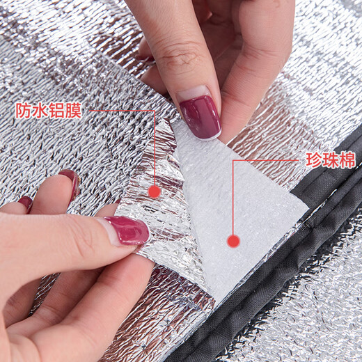 Heyoujia Insulation Bag Thick Aluminum Foil Disposable Refrigerator Bag Express Cold Chain Food Cooling Ice Bag Small Size 10 Pack
