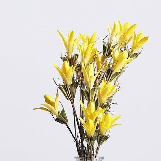 AIMAN Yunnan dried flower bouquet natural real flowers octagonal flower magnolia flower small lily living room decoration soft furnishing matching yellow (1 bouquet of 30 flowers free of charge)