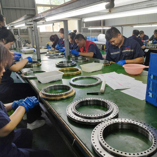 Replace imported CNC turntable bearing YRT395YRT460YRT580 rotary drive turntable bearing YRT460
