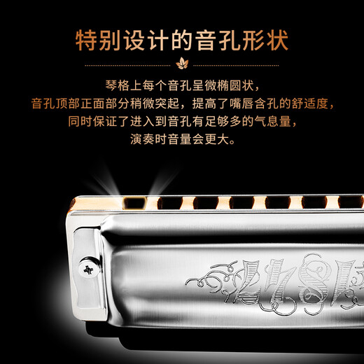 SEYDEL德国进口SEYDEL赛德 十孔10蓝调成人口琴 1847 CLASSIC 10孔G调