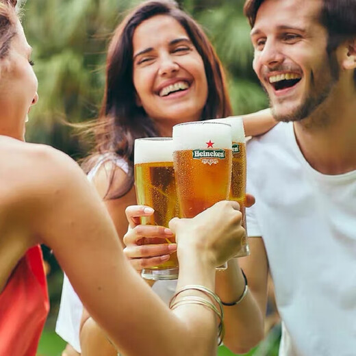 Heineken beer 500ml*3