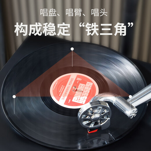 Fantasy Poetry Gramophone Living Room Study Italian Style High-end Retro Vinyl Large Speaker Floor-Standing Record Player Bluetooth Modern Audio Dark Gray SP1502