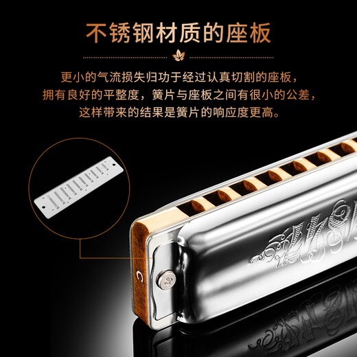 SEYDEL德国进口SEYDEL赛德 十孔10蓝调成人口琴 1847 CLASSIC 10孔G调