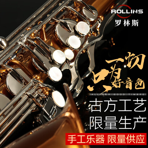 Rollins Saxophone Instrument 9902S Alto Rollins Saxofón Instrumento Introducción Introductory Performance General Modelo 9902S Alto-correcta Resistente