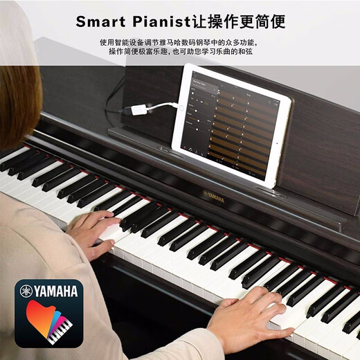 雅马哈（YAMAHA）电钢琴YDP145立式88键重锤家用专业演奏考级电子钢琴YDP165 新品YDP145R棕色+原装琴凳