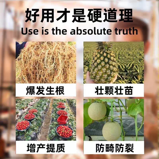 98% increased amine production, DCPTA original powder, roots and fruit expansion, increased production, improved quality, color and sweetness, green leaves, roots and seedlings, 100g simple packaging, free one gram spoon