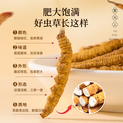 雷允上冬虫夏草4根/g 10g约40根 冻干父亲节礼盒送父母长辈礼物