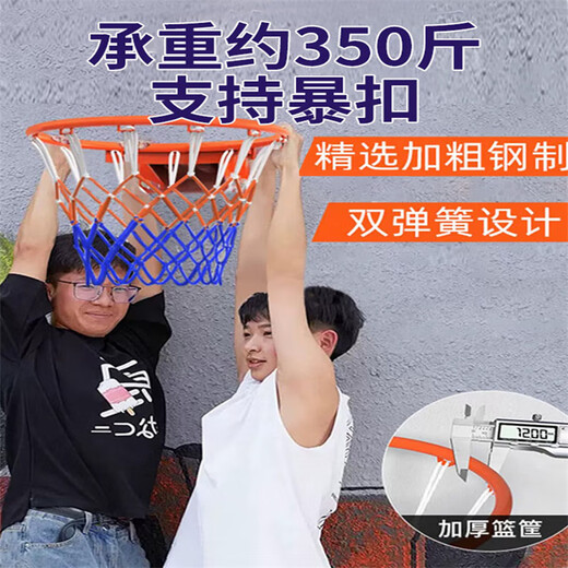 玲诺篮球框成人儿童室内外家用户外篮球架实心挂式篮筐投篮铁圈可扣篮 成人款空心款45cm+篮网+螺丝
