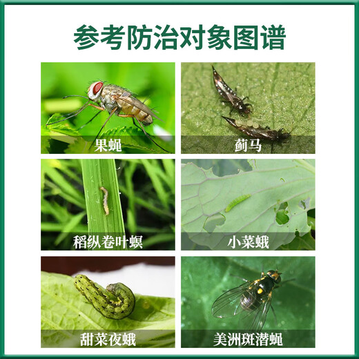Corteva Allers ethyl spinosyn, cabbage caterpillar, diamondback moth, thrips, rice longitudinal roll pesticide insecticide 100ml*1 bottle