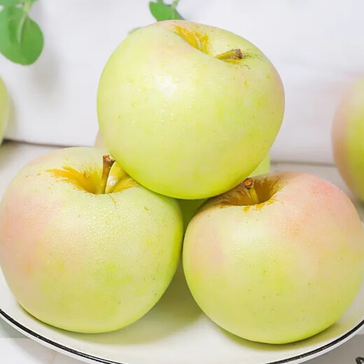 Xinjiang Wanglin Apple 4-6 pieces 1kg